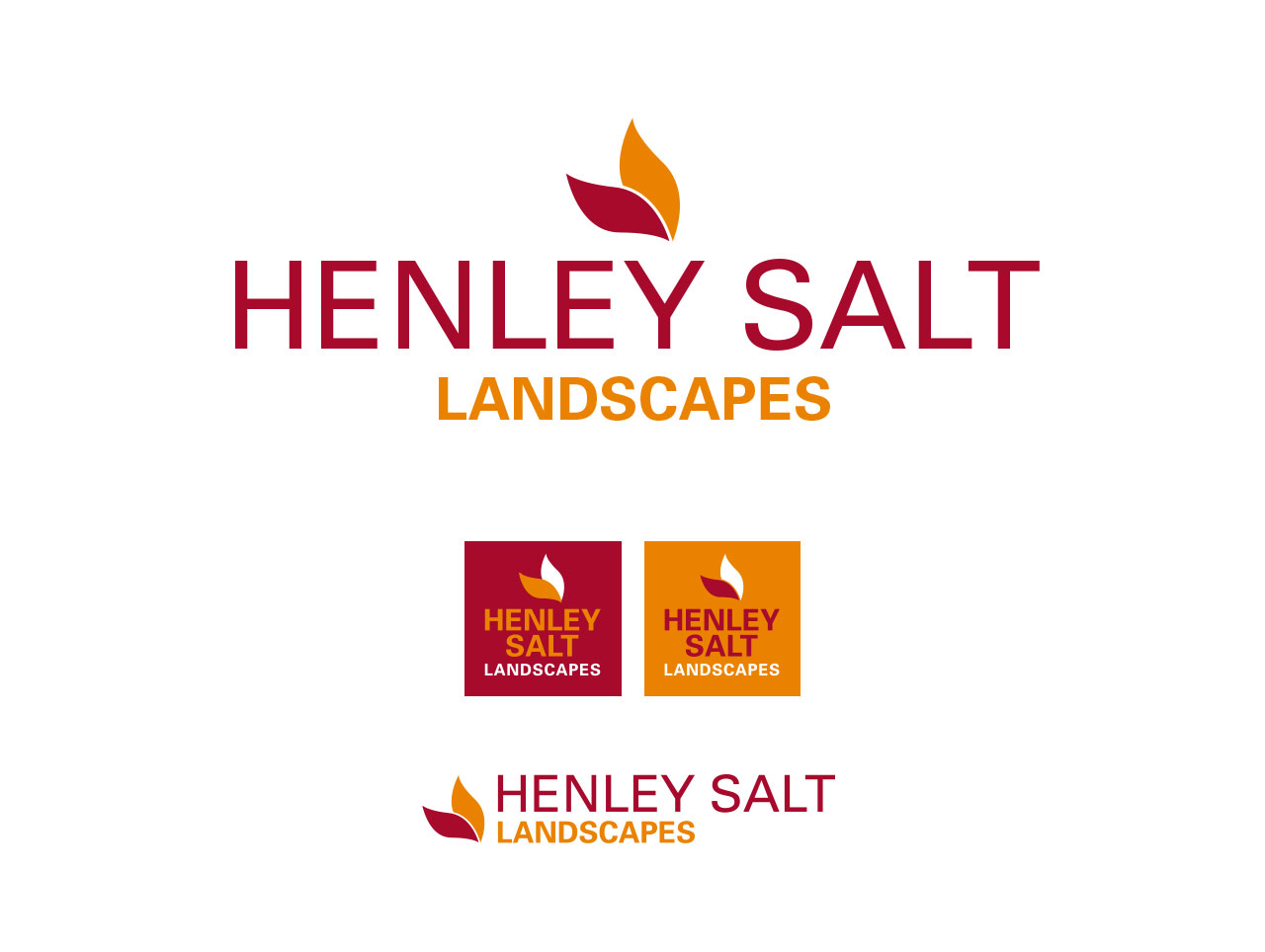 henley salt logo design
